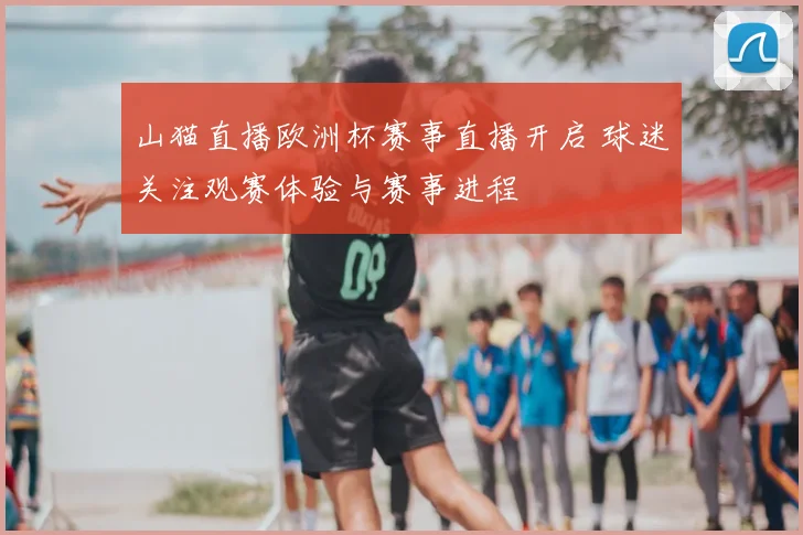 山猫直播欧洲杯赛事直播开启 球迷关注观赛体验与赛事进程