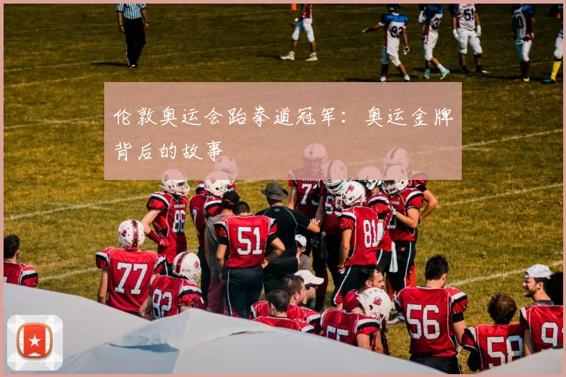 伦敦奥运会跆拳道冠军:奥运金牌背后的故事
