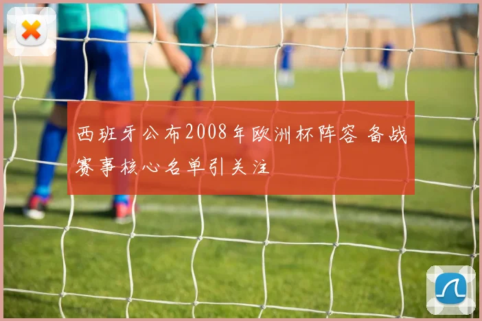 西班牙公布2008年欧洲杯阵容 备战赛事核心名单引关注