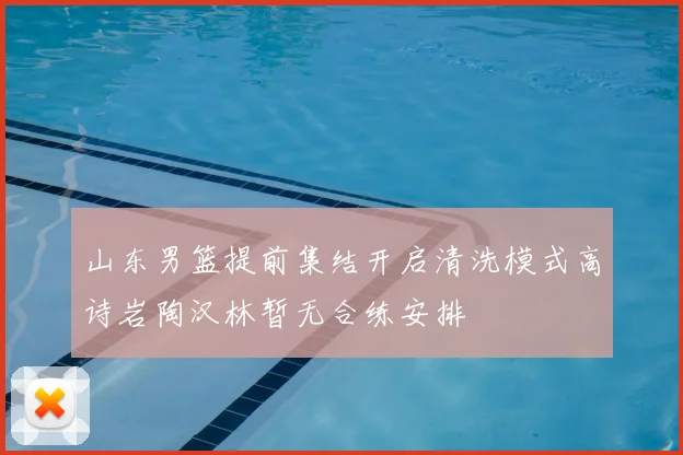 山东男篮提前集结开启清洗模式高诗岩陶汉林暂无合练安排