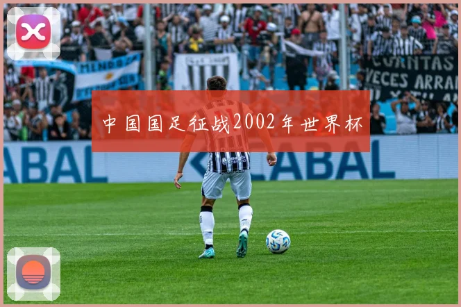 中国国足征战2002年世界杯