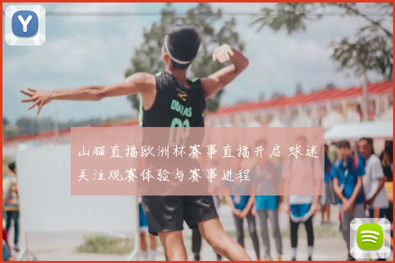 山猫直播欧洲杯赛事直播开启 球迷关注观赛体验与赛事进程