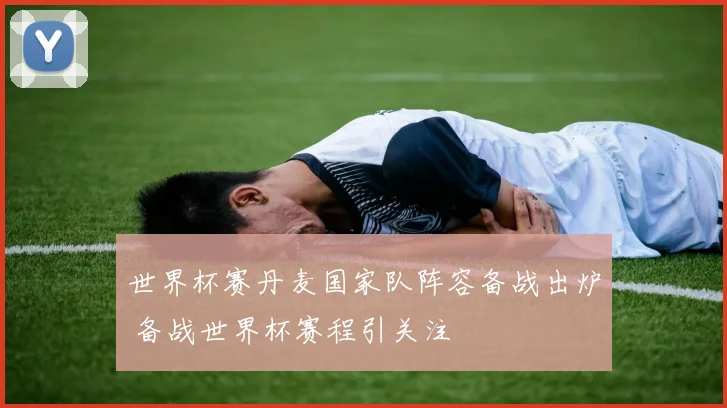 世界杯赛丹麦国家队阵容备战出炉 备战世界杯赛程引关注
