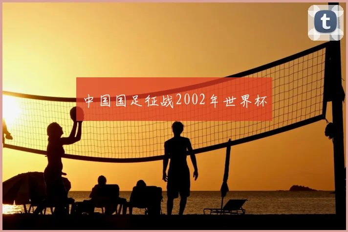 中国国足征战2002年世界杯