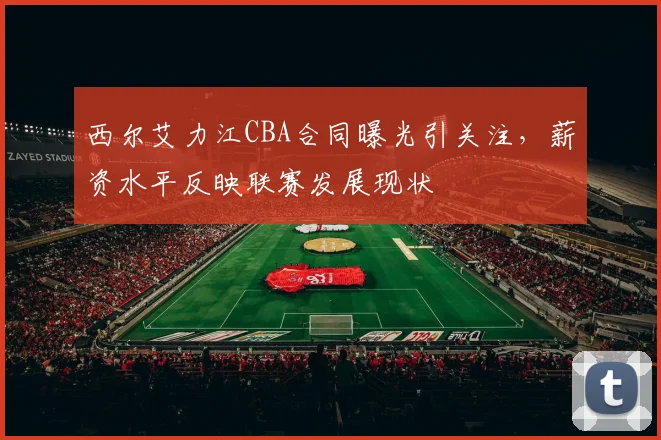 西尔艾力江CBA合同曝光引关注，薪资水平反映联赛发展现状